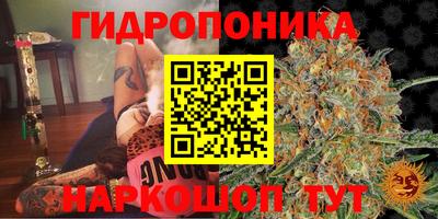 2c-b Будённовск