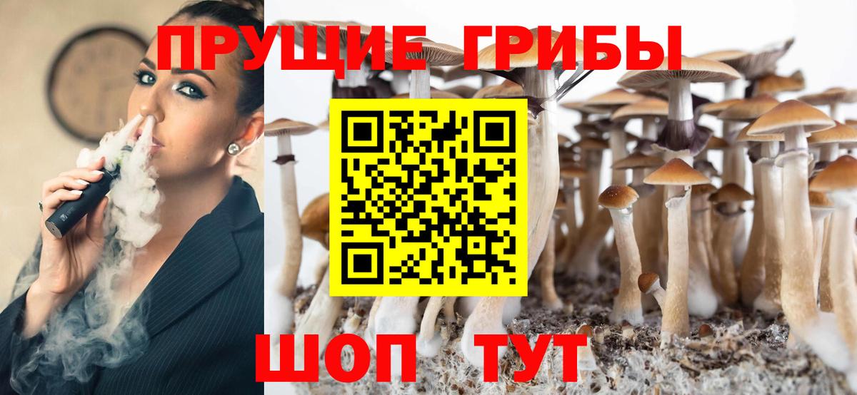 Галлюциногенные грибы Psilocybine cubensis Рыбинск